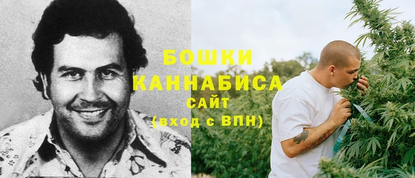 молекула духа Баксан