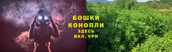молекула духа Баксан
