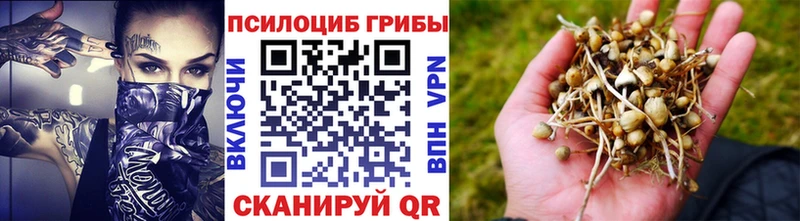 Псилоцибиновые грибы Psilocybine cubensis цены наркотик Сатка
